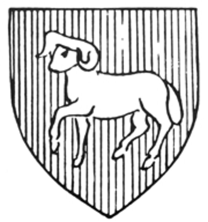 Wappen Rieneck